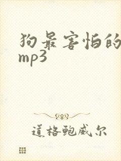 狗最害怕的声音mp3