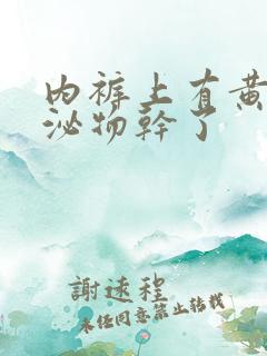 内裤上有黄色分泌物干了