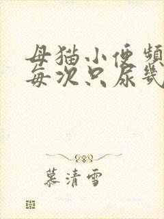 母猫小便频繁,每次只尿几滴