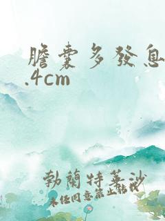 胆囊多发息肉0.4cm