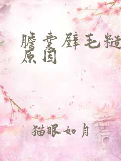 胆囊壁毛糙什么原因