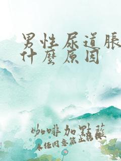 男性尿道胀痛是什么原因