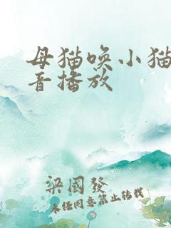 母猫唤小猫的声音播放