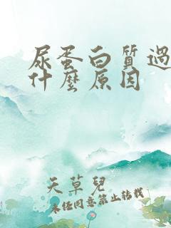 尿蛋白质过高是什么原因