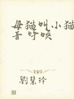 母猫叫小猫的声音 呼唤