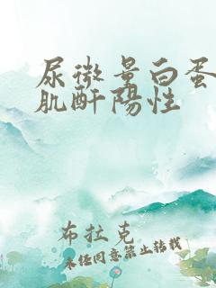 尿微量白蛋白/肌酐阳性