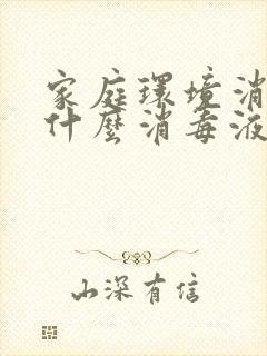 家庭环境消毒用什么消毒液比较好