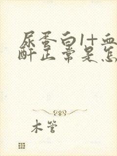 尿蛋白1+血肌酐正常是怎么回事