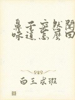 鼻子突然闻不到味道怎么回事