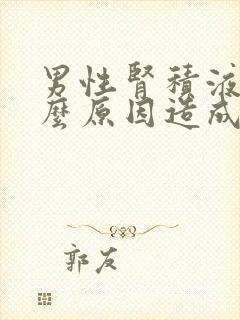 男性肾积液是什么原因造成的