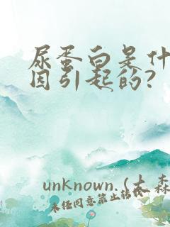 尿蛋白是什么原因引起的?