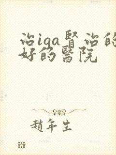 治iga肾治的好的医院