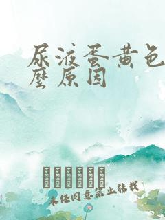 尿液蛋黄色是什么原因