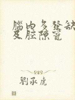 脑内多发缺血灶及腔隙灶