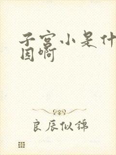 子宫小是什么原因啊