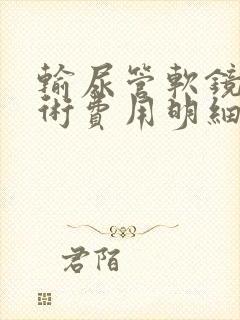 输尿管软镜碎石术费用明细