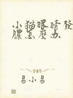 小猫眼睛发炎流脓怎么办