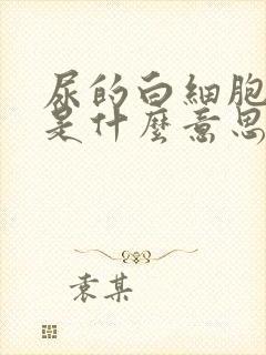 尿的白细胞3+是什么意思