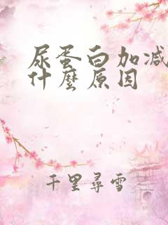 尿蛋白加减号是什么原因