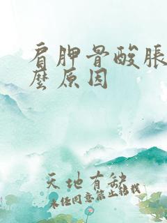 肩胛骨酸胀痛什么原因