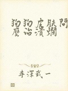 狗狗皮肤问题怎么治溃烂