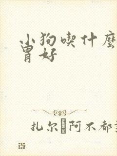 小狗吃什么对肠胃好