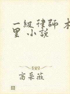一级律师 木苏里 小说