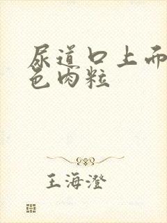 尿道口上面有白色肉粒