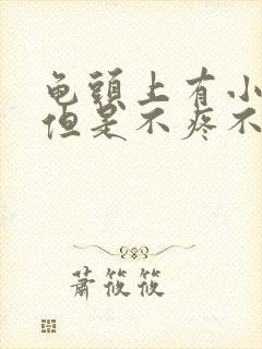 龟头上有小疙瘩但是不疼不痒