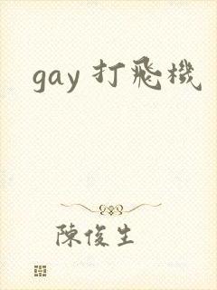 gay 打飞机
