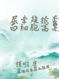 尿常规检查镜检白细胞高是什么原因