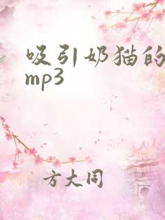 吸引奶猫的声音mp3