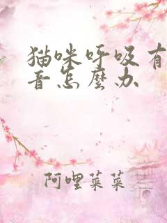 猫咪呼吸有痰鸣音怎么办