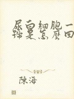 尿白细胞一个加号是怎么回事