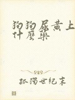 狗狗尿黄上火喝什么药