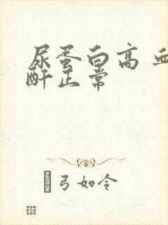 尿蛋白高 血肌酐正常