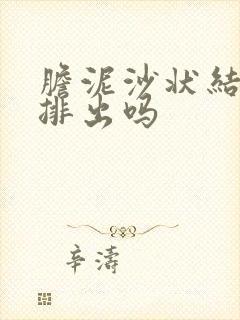 胆泥沙状结石能排出吗