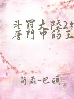 斗罗大陆2绝世唐门中的王冬