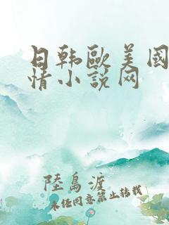 日韩欧美国产激情小说网