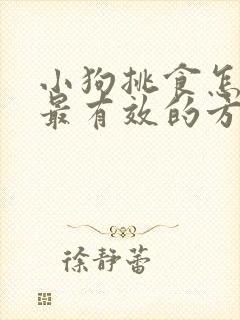 小狗挑食怎么办最有效的方法