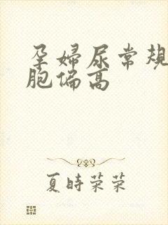 孕妇尿常规红细胞偏高