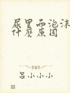 尿里面泡沫多是什么原因