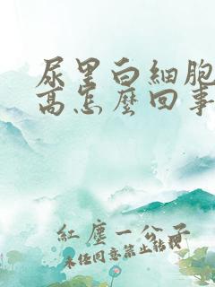 尿里白细胞计数高怎么回事