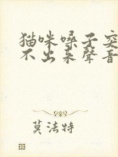 猫咪嗓子突然发不出来声音