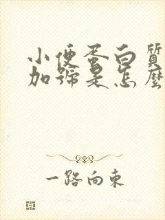 小便蛋白质一个加号是怎么回事