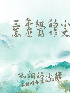 三年级的小朋友怎么写作文