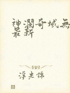 神澜奇域无双珠最新