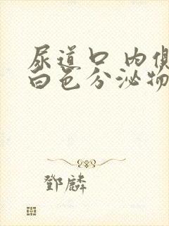 尿道口 内侧长白色分泌物点