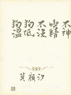 狗狗不吃不喝体温低没精神