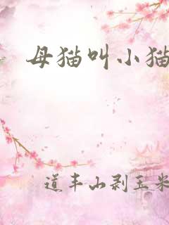 母猫叫小猫声音